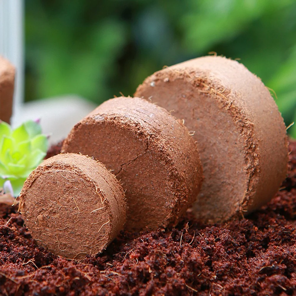 

60pcs Coconut Bran Seedling Blocks Small Size Nutrient Soil for Planting Easy Storage Transplanting Success