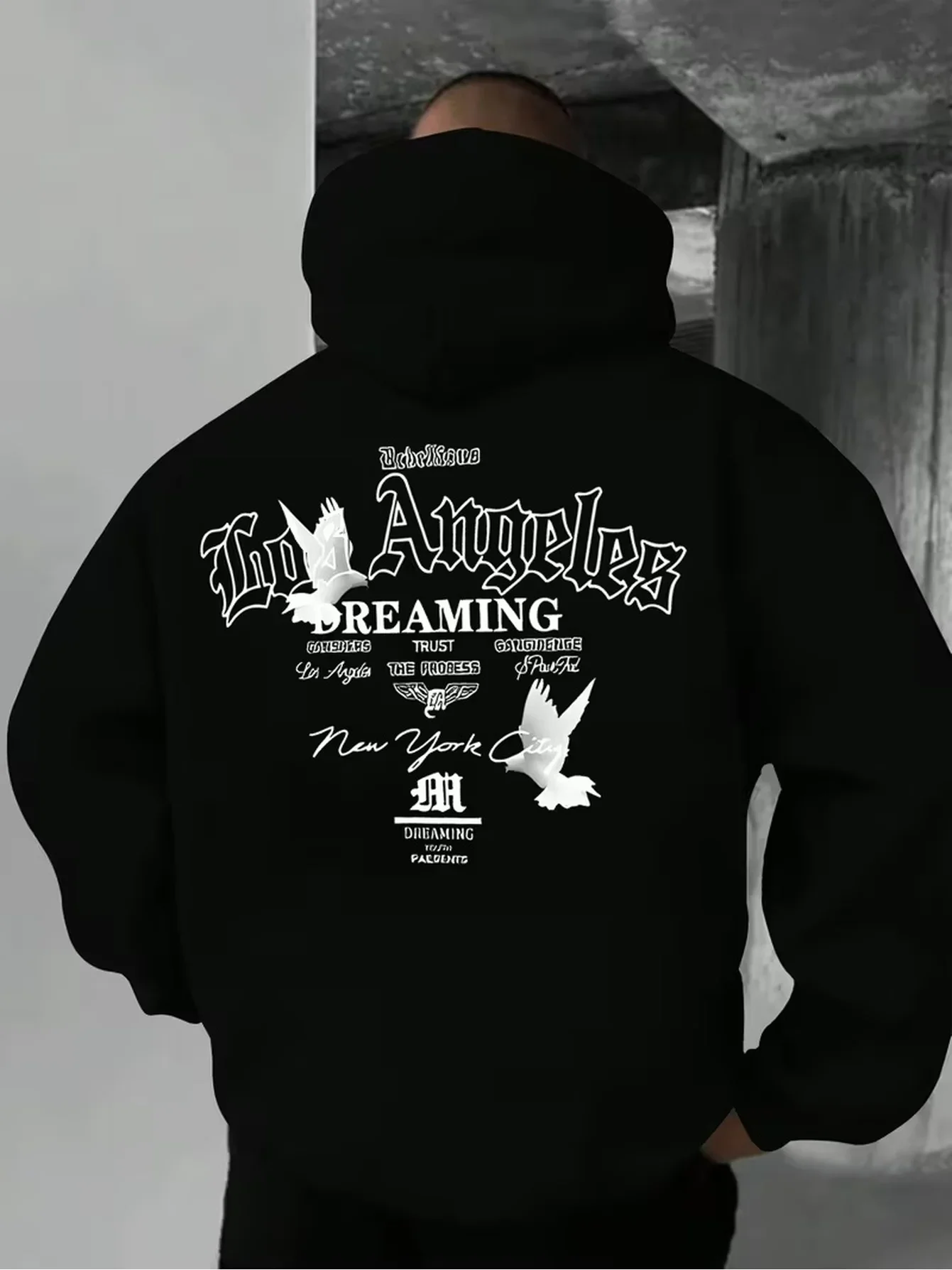 Trendy Versatile Loose Streetwear LA Dreaming Pigeon Typography Long Sleeve Pullover Hoodie Men Women