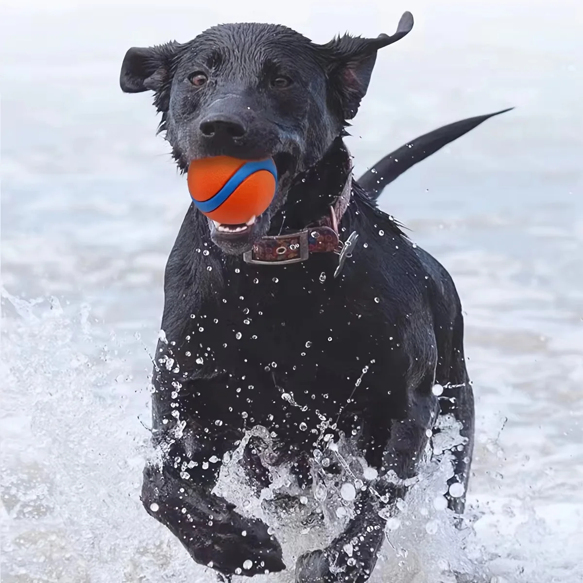 Langlebiger Silikon-Kau-Ball für Hunde - Interaktives Haustierspielzeug für mittelgroße Rassen, zur Zahnreinigung & Spielspaß, Hundespielzeug – Detail 4