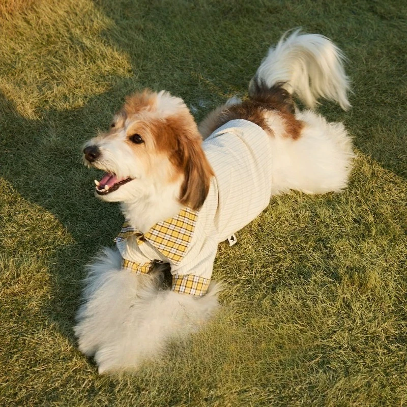 Spring and Summer Thin Retro Plaid Color Matching Lapel Shirt Handsome Pet Kitten Small Medium Dog Clothes Puppy Clothes