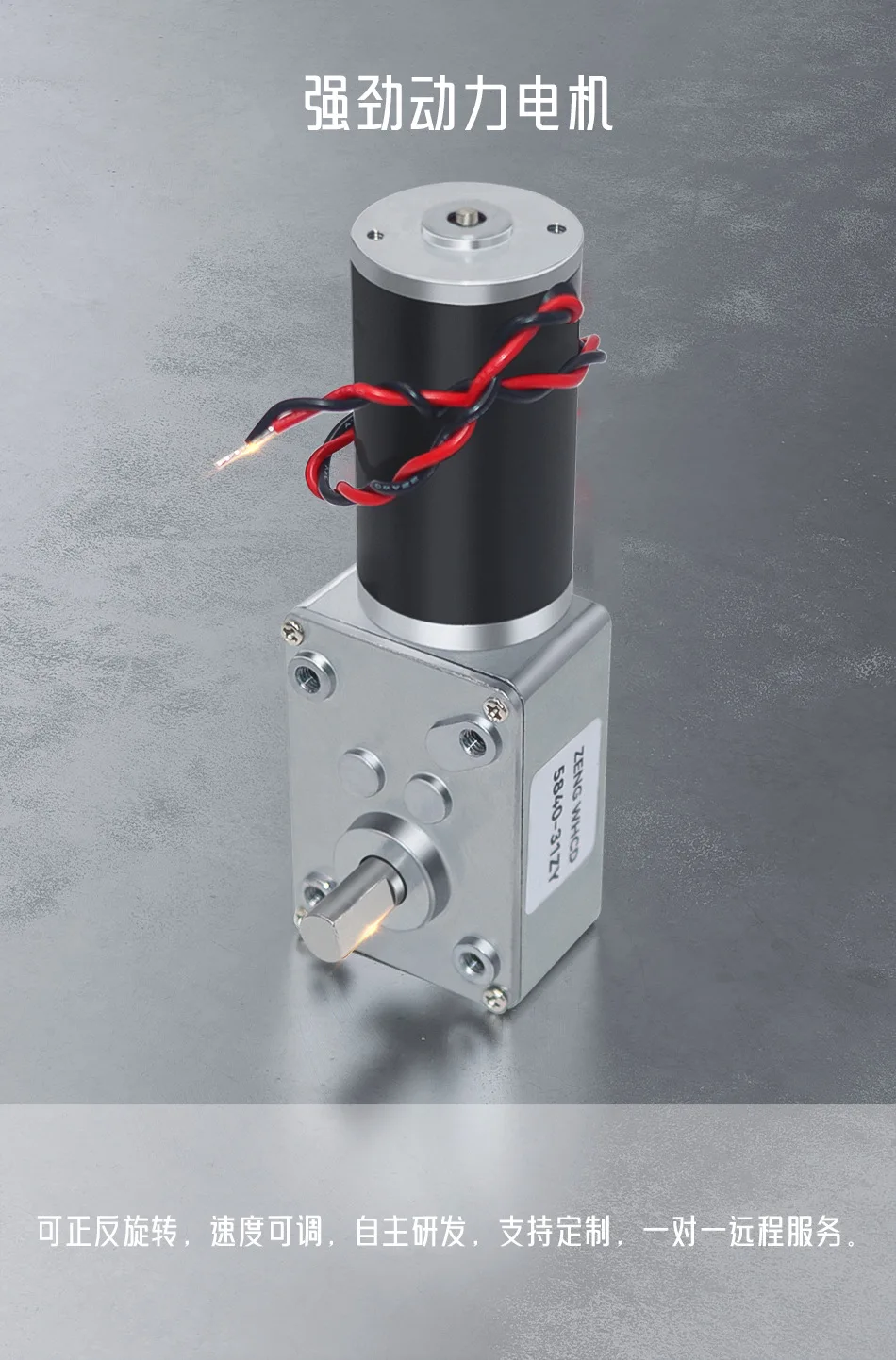 5840-31ZY 12V 24V High Torque DC Gear Motor 5-470RPM Adjustable Self-Locking Worm Drive