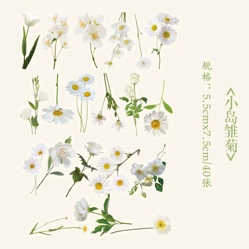 40pcs/pack PET Flowers Stickers Plant Stickers Daisy Decor Stationery for Junk Journal DIY Scrapbooking Label Stickers image 4
