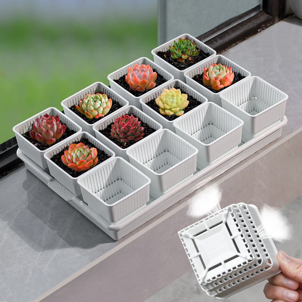 Сетчатый горшок, 15 шт., 6 см, сочные горшки с подносом — толстые пластиковые горшки со сливными отверстиями, маленькие цветочные горшки для кактуса, литопов
