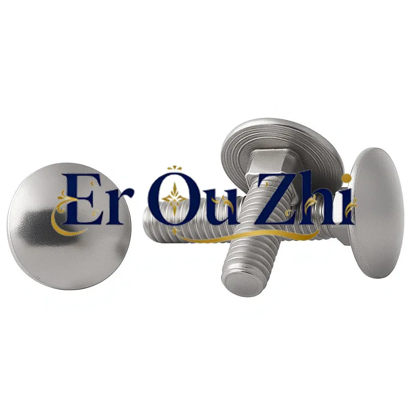 Big Head Carriage M6M8M10M12 304 Stainless Steel Bolt Semicircular Square Neck Screw Shelf Screw Flat Head