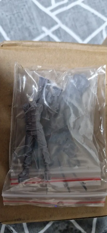 Buyer photo of this resin kit