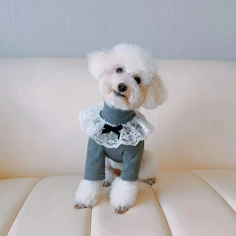 Warmer Spitzen-Winter-Stehkragen-Basismantel für kleine Hunde, Mantel für Haustiere, zweibeinige Kleidung, kleiner Hund, Teddybär-Kleidung, warmer Basismantel – Detail 5
