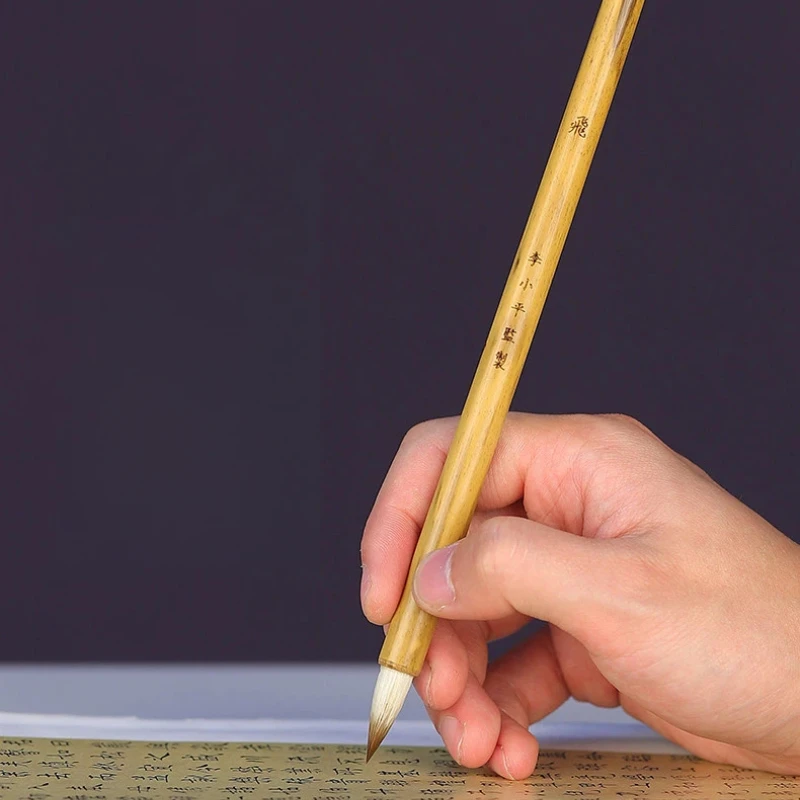 mixed-hair-calligraphy-brush-set-small-regular-script-professional-calligraphy-writing-brush-beginner-chinese-painting-supplies