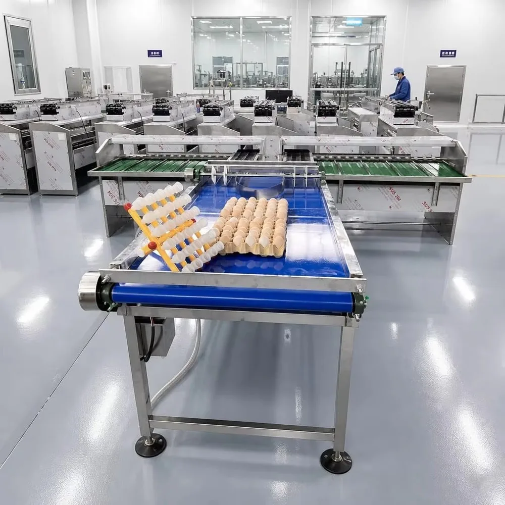 Industrial Automatic Egg Grader And Packer Stainless Steel Egg Grading Sorting Machine Poultry Processing Equipment
