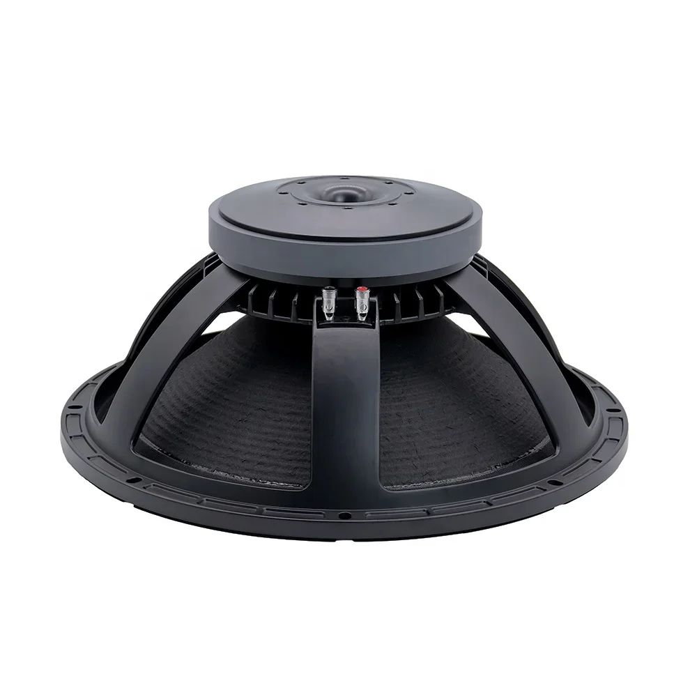

Rohs Professional 18 Inch Subwoofer Pa Sound Equipment Passive/Active Outdoor Speaker 15-3000e
