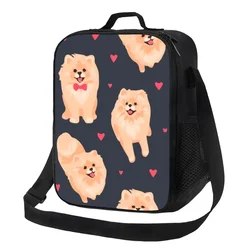 Pomeranian Spitz Puppy Pattern borsa termica per il pranzo per cani da compagnia borsa termica portatile per alimenti scatola per il pranzo campeggio all'aperto