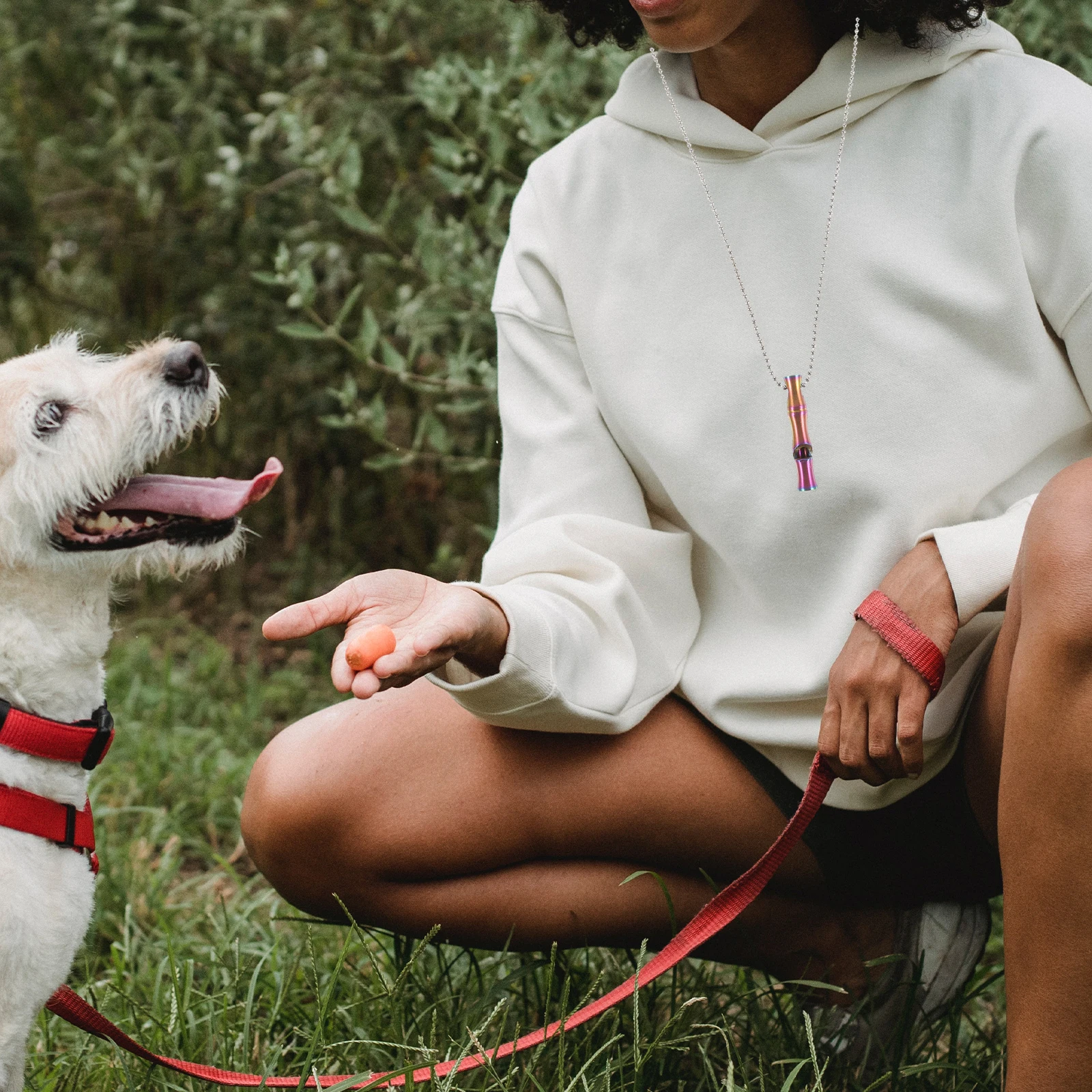 

Stainless Steel For Dog Training Lightweight Durable Pet Training Tool Stop Barking Whistle Camping Hiking Emergency