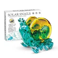 snail