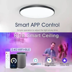 Smart Ceiling Lamps 220V 30W 48W RGB CCT Smart Home Led Lights WIFI APP Voice Control with Alexa Google Yandex