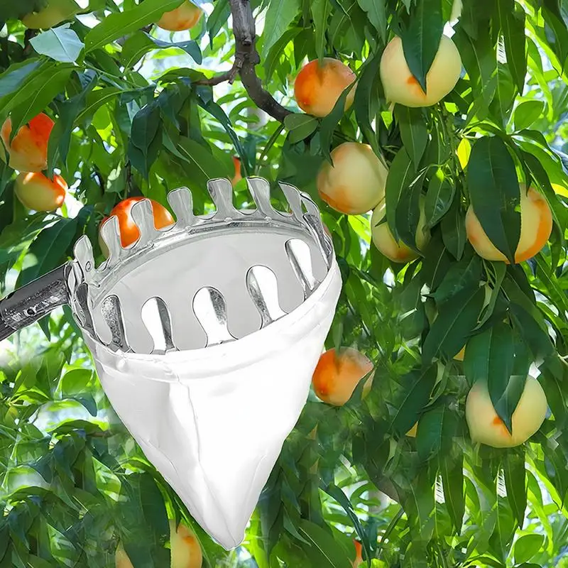 Imagem -02 - Cabeça do Picker do Fruto com Pólo Telescópico Extensível Cesta do Jardim Ceifeira Punho Antiderrapante do Aperto Altitude Alta