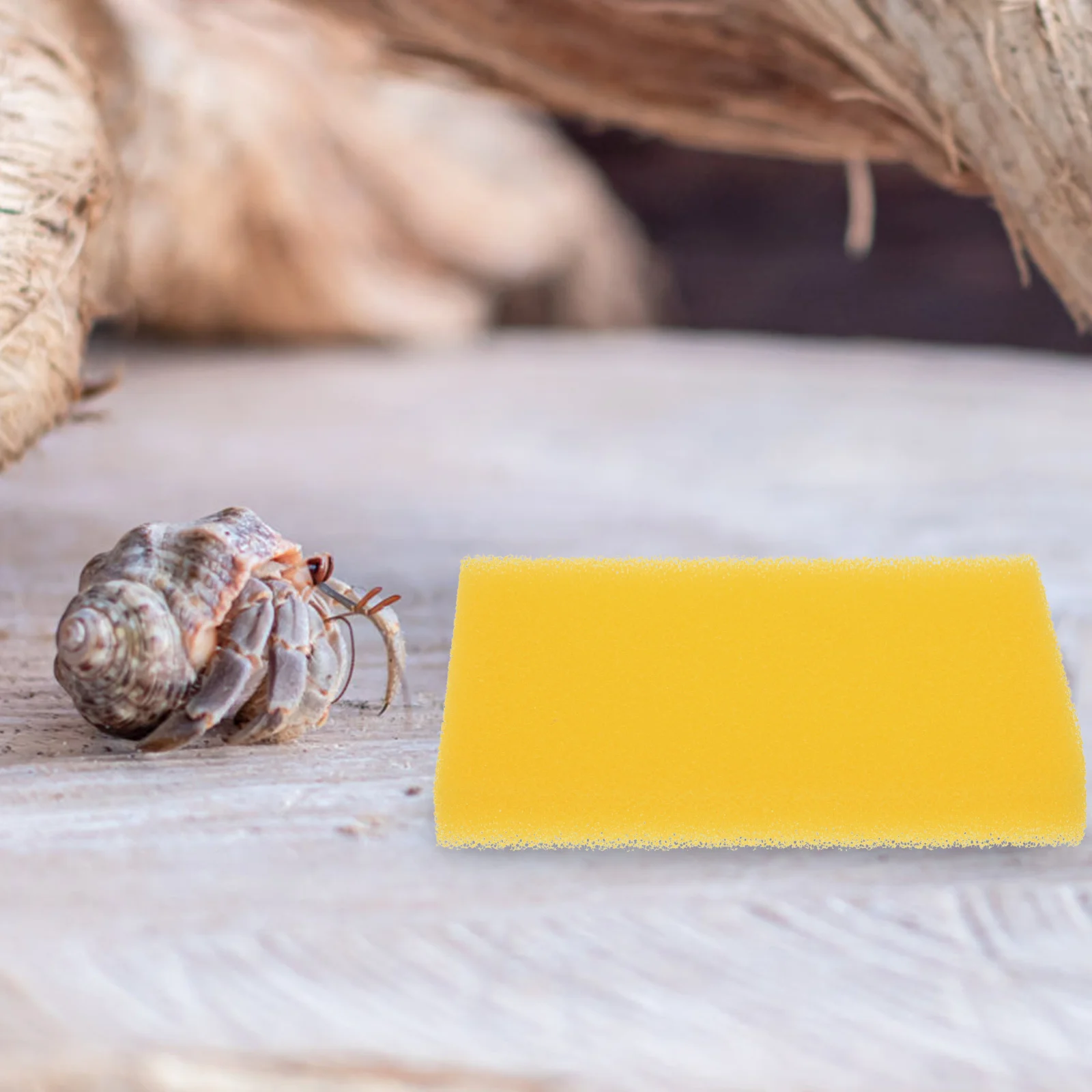 

10Pcs Absorbent Aquarium Sponge Fine Hole Filtration Pad Durable Bio Filter Cotton for Fish Tank Turtle Terrarium Reptile