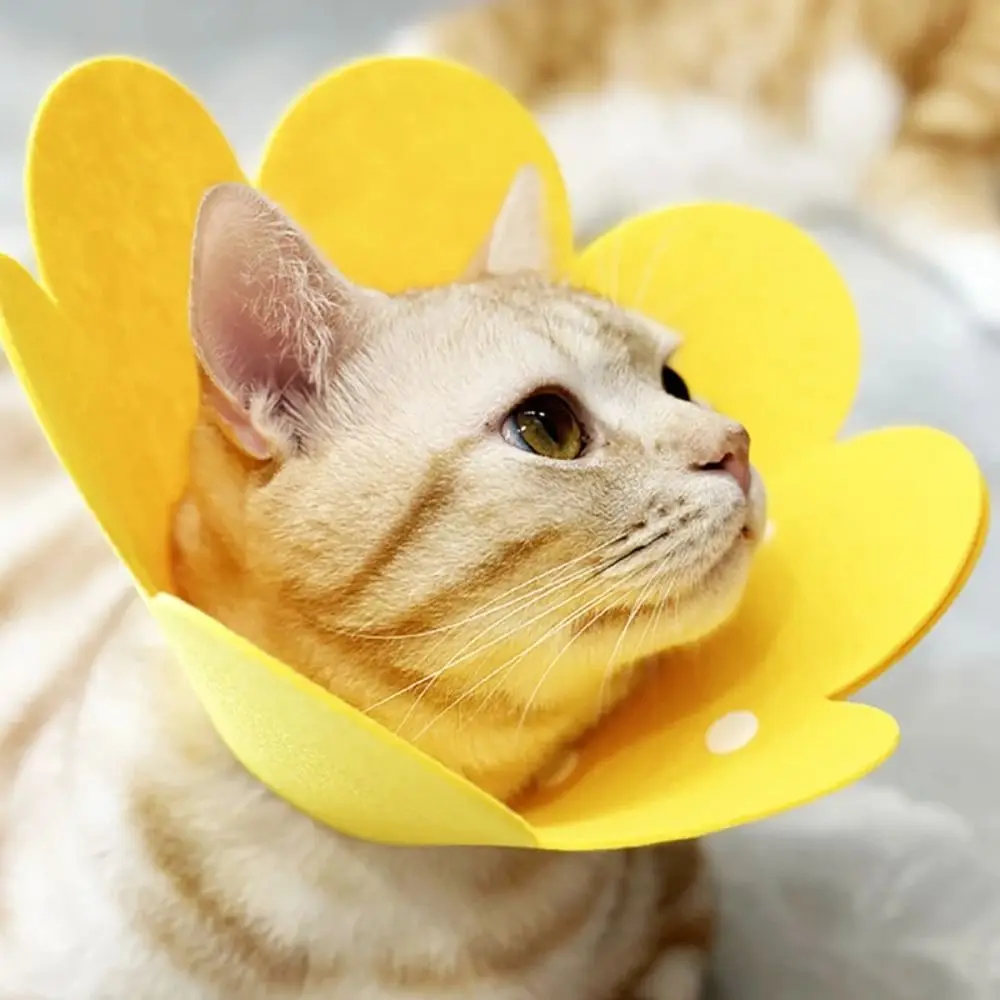 Flower Shaped Dog Protective Collar Anti-Bite Adjustable Cat Elizabethan Collar After Surgery Wound Healing Pet Accessories Cat