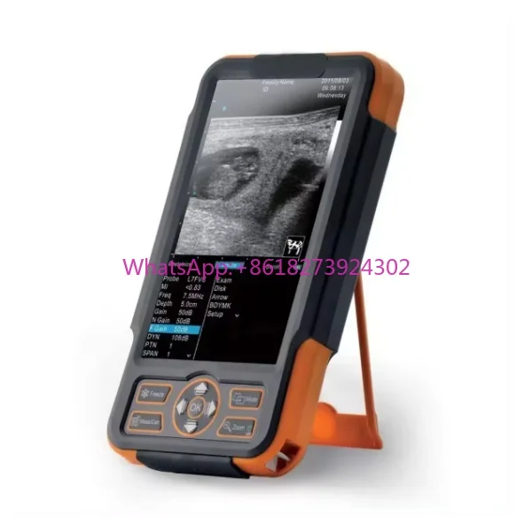 Große Tiere Veterinärausrüstung Rinder Ultraschall SIUI CTS-800 Rinder Ultraschall Veterinärmedizin