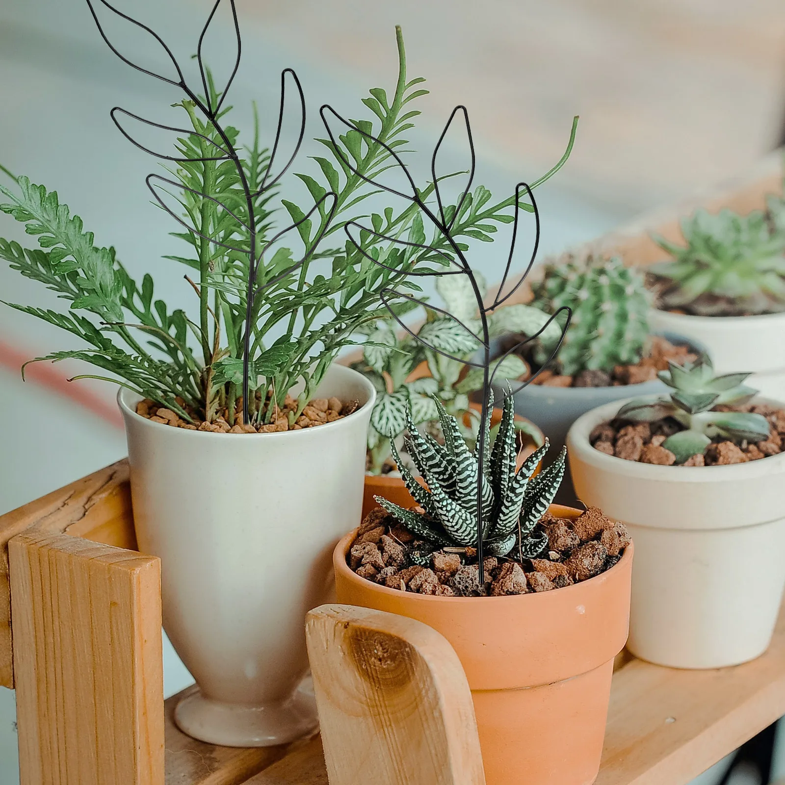 

2Pcs Plant Climbing Rack Mini Trellis for Indoor Use Keeps Plants Growing in Comfortable Environment Plant Accessories