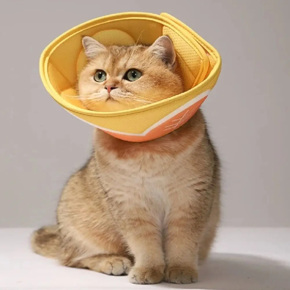 

Cartoon Pet Elizabeth Circle 3D Flower Printing Cat Dog Grooming Cover Adjustable Soft Mesh Dog Recovery Collar