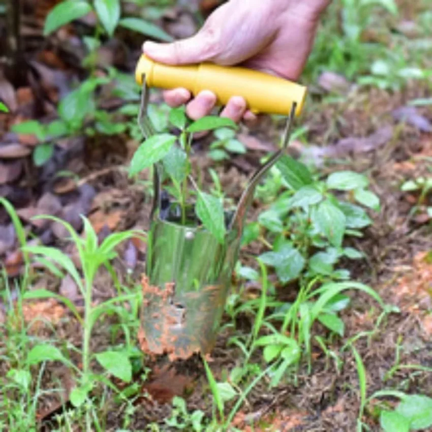 Seedling Transplanter Vegetable Flower Planter Transplanters Household Multifunctional Agricultural Tools Gardening Plant