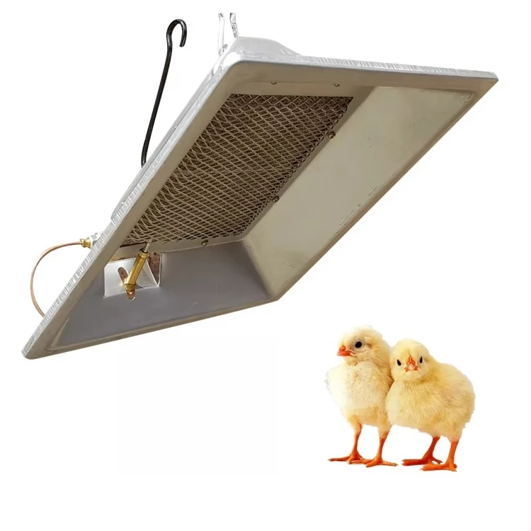 

Energy Saving Factory Direct Infrared Gas Brooder Heater for Chick Livestock Poultry Farm