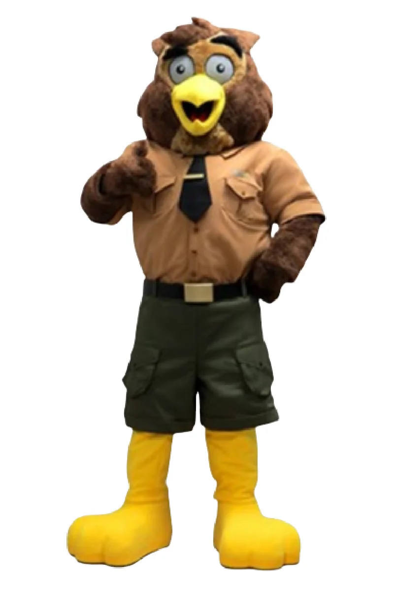 Lago confiança coruja mascote traje personalizado fantasia anime cosplay kit mascotte tema fantasia vestido carnaval traje b0140