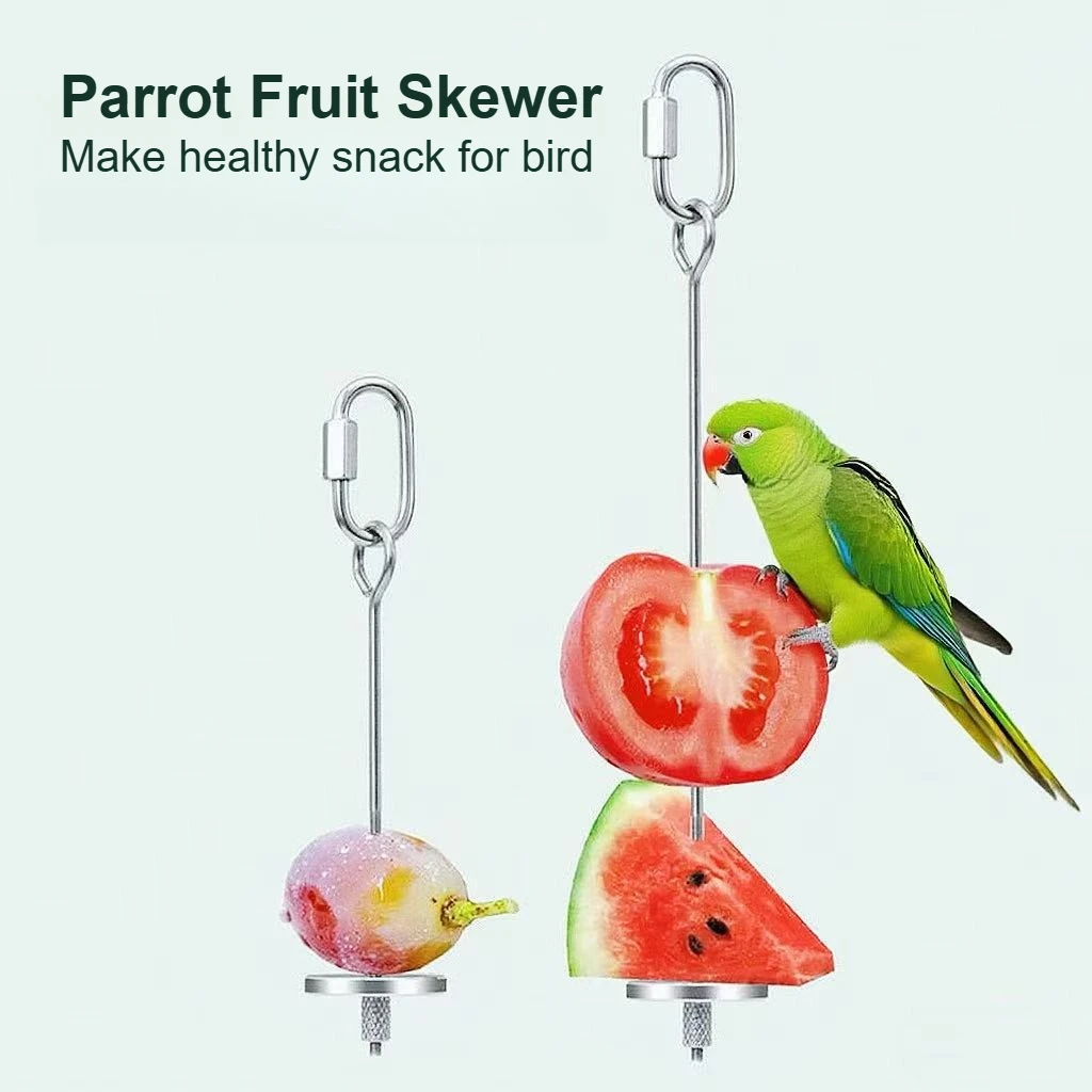 Nuevo juguete para pájaros: Espeto de acero inoxidable para frutas, soporte colgante para loros, periquitos y animales pequeños, tenedor para juguetes de loros.