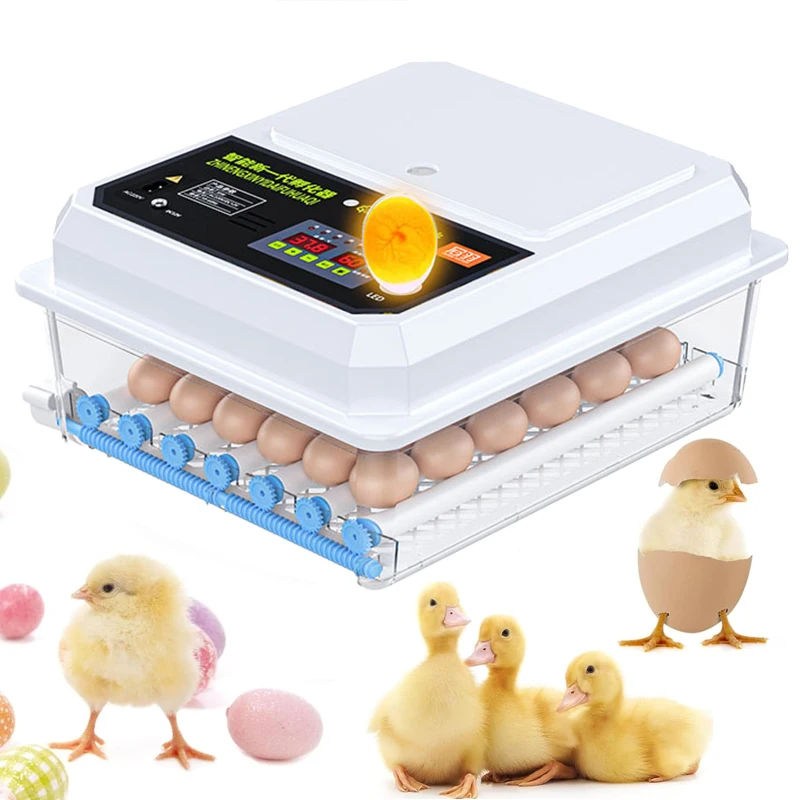 Solar duck goose poultry incubator 100 eggs 12V 220V fully automatic egg chicken incubator and egg hatching machine