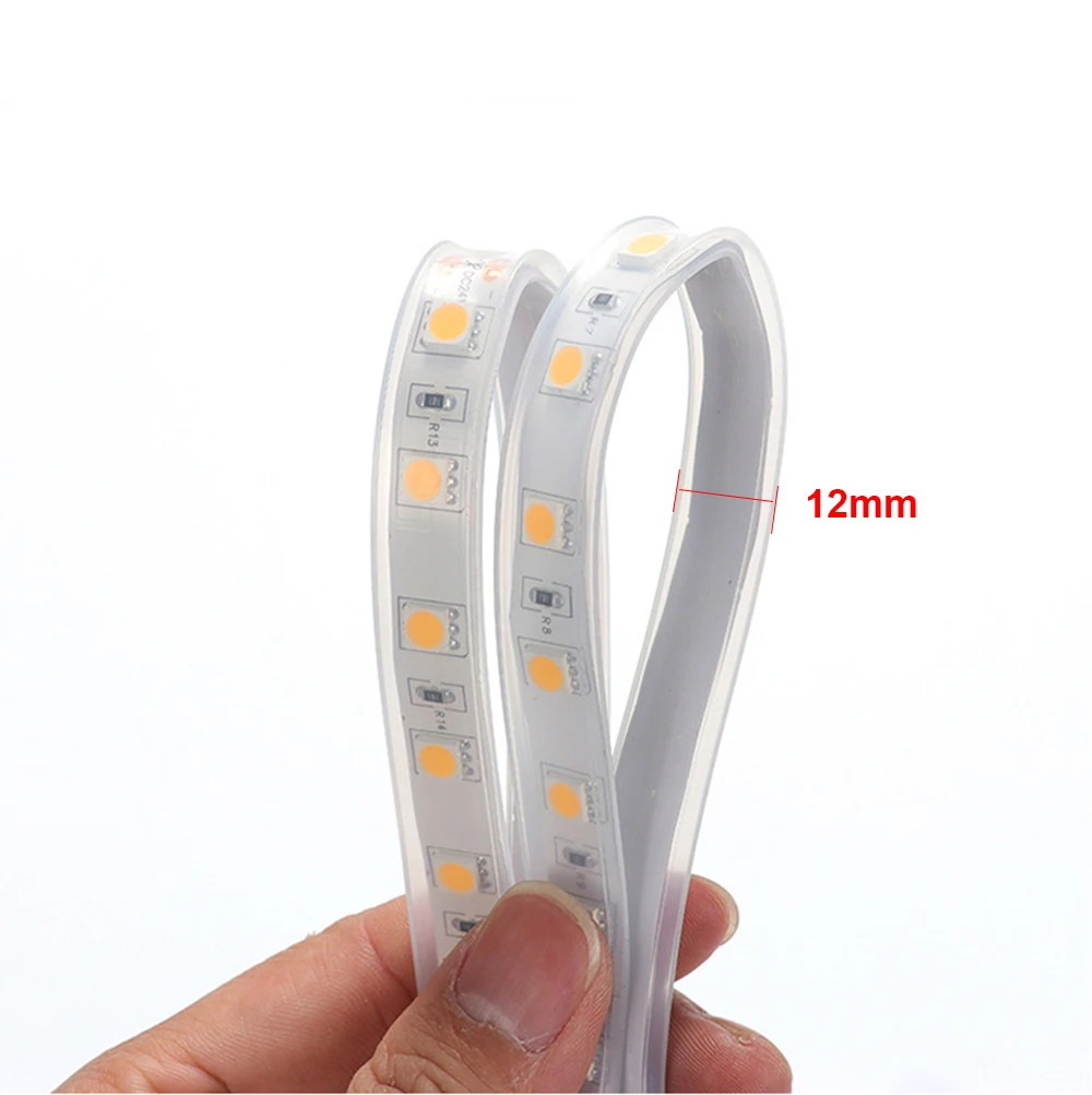 IP68 su geçirmez LED şerit ışıkları SMD5050 12V/24V RGB led bant bahçe dekor için tüp lamba sualtı açık LED ışıkları kırmızı/mavi