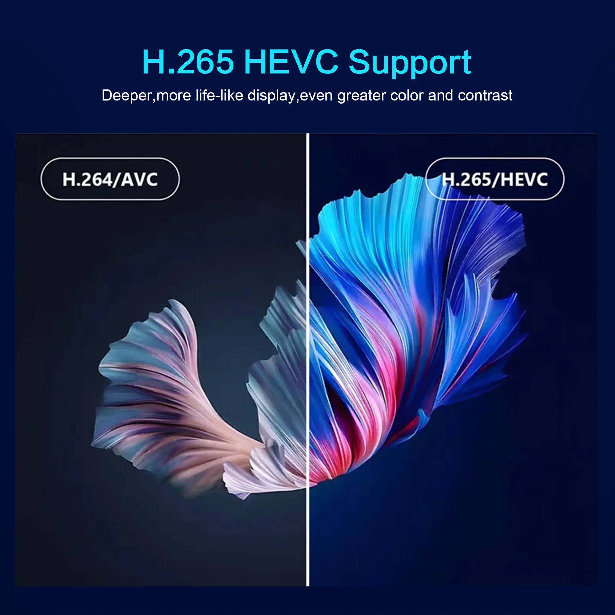 Smart TV Stick Android Amlogic 4K Reproductor multimedia de YouTube RAM 1 GB ROM 8 GB 2.4G WIFI Decodificador TVR3 plus