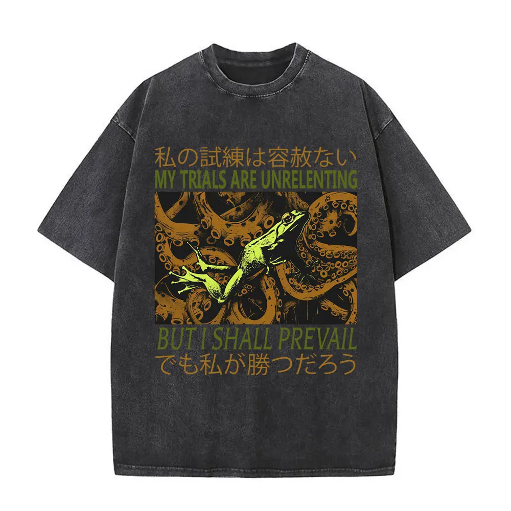 The Horrors Are Never Ending Yet I Remain Silly T-shirt Funny Japanese Style Frog Retro Washed T Shirt Men's Oversized T-shirts