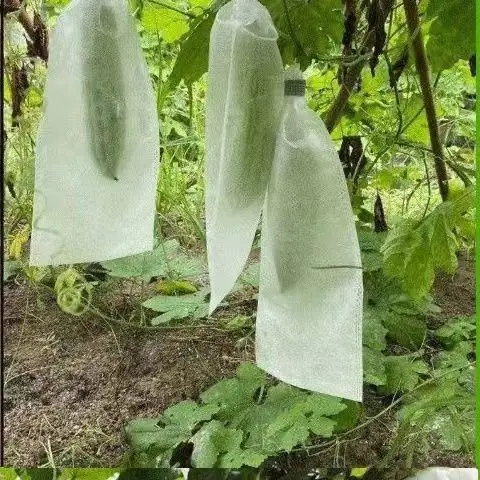 Apple Grapes Strawberry Fruit Grow Bags Non-woven Plant Protection Bags for Pest Control Anti-Bird Gardening Tools gallery 2