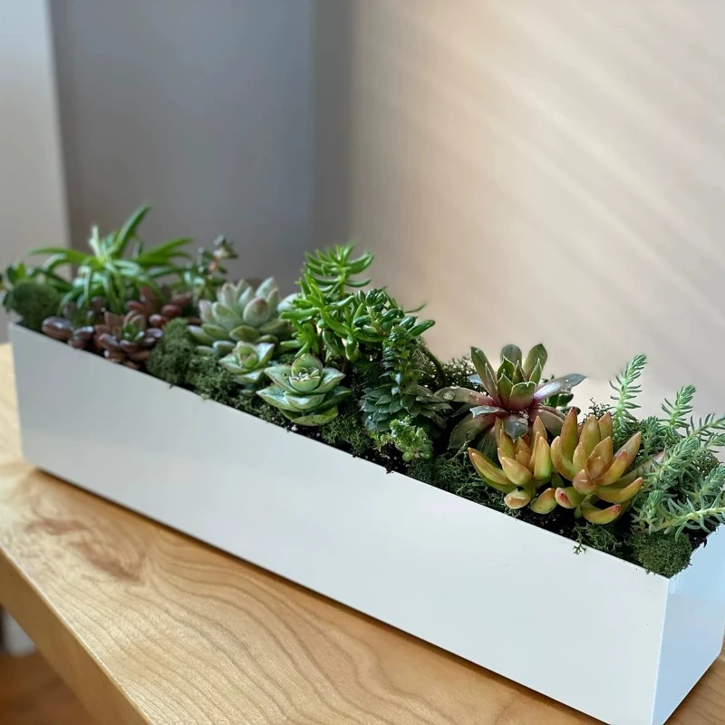 

Stainless Steel Rectangular Flower Box Succulent Planter Pot Desktop Balcony Pots Accessories Minimalist Landscaping Container