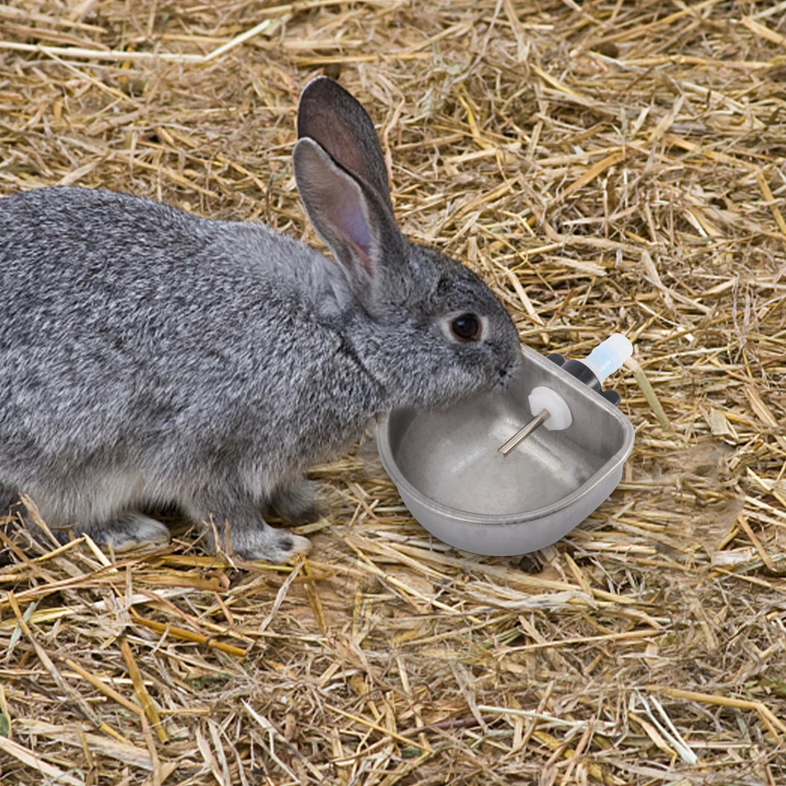 2Sets Premium Material Rabbit Water Feeder Safe Durable Easy Clean Pet Water Bowls Practical Gift Rabbit Drinker
