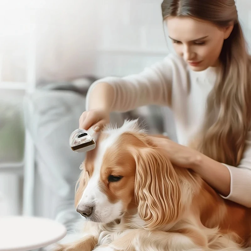 2025 Clearance Sale หุ่นยนต์ถูพื้นอัจฉริยะ - เครื่องทําความสะอาดพื้นฝุ่นแห้ง/เปียก 2-in-1 พร้อมฟังก์ชั่นดูแลสัตว์เลี้ยง