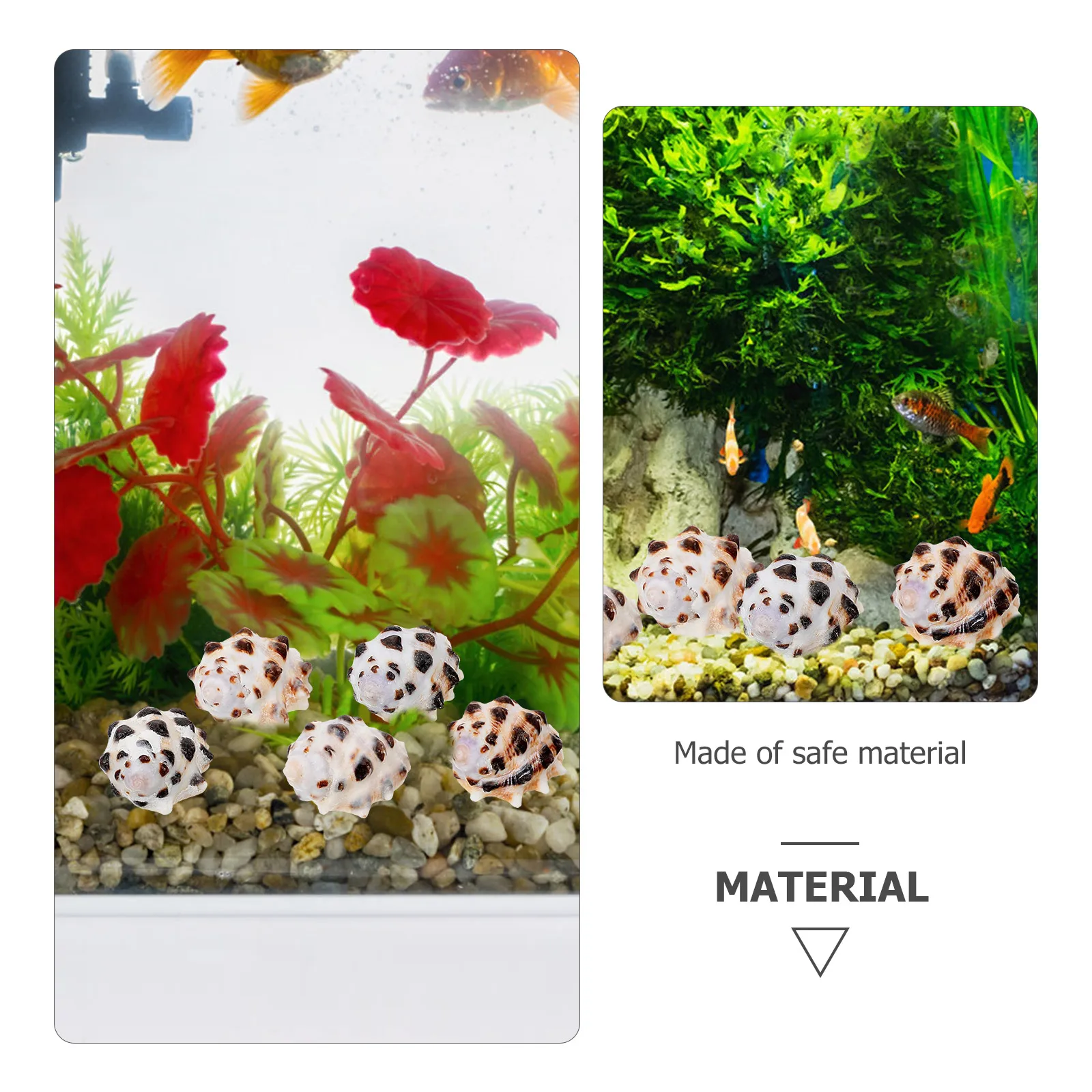 

5Pcs Mini Natural Conch Shells Decorative Ornaments for Aquarium Fish Tank DIY Crafts Sea Shells Conch Decoration