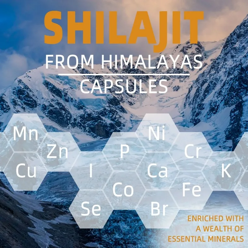 600mg Shilajit Himalayan Capsules & Shilajit Resin 60 Capsules Made with Pure and Organic Shilajit Powder Natural Fulvic Acid