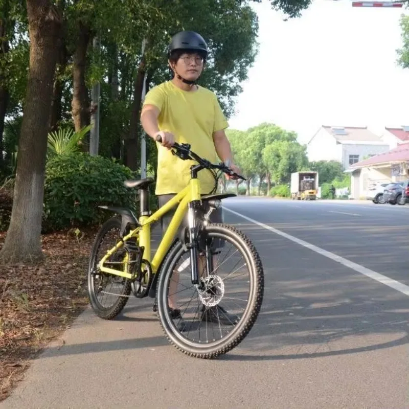 

Fashion 250/500W Electric Mountain Bike 275 250W Adult Big Size Mountain Bike Hard Tail Mountain Bike For Promotion