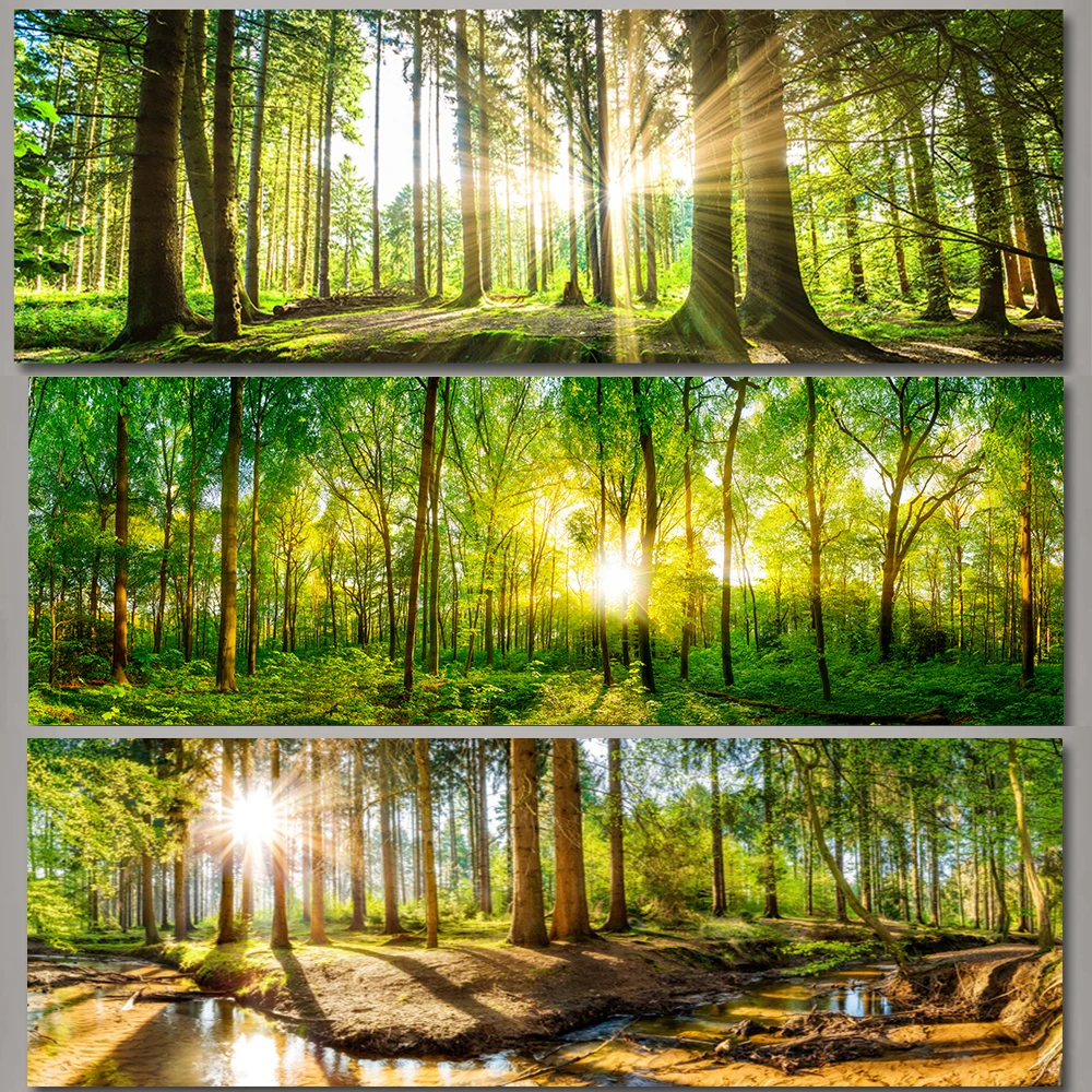 Natural Scenery Forest Panorama HD Pictures Canvas Painting Wall Art Sunlight Sunshine Green Tree Posters for Living Room Decor