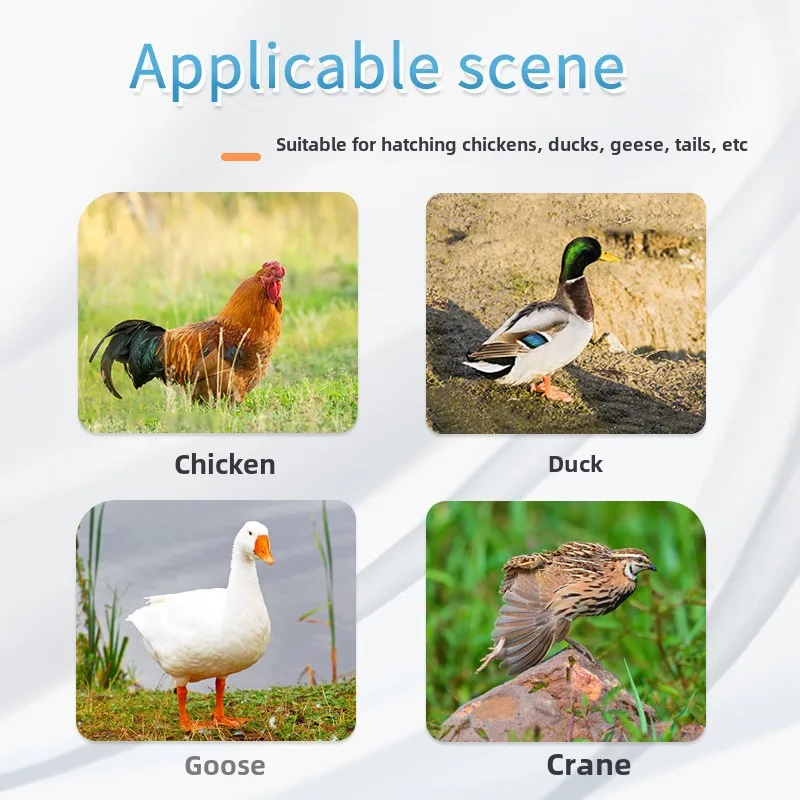 XM-18SD Incubatrice per uova Mini sistema di controllo automatico digitale per incubatrice per uova Macchina per incubazione per oca