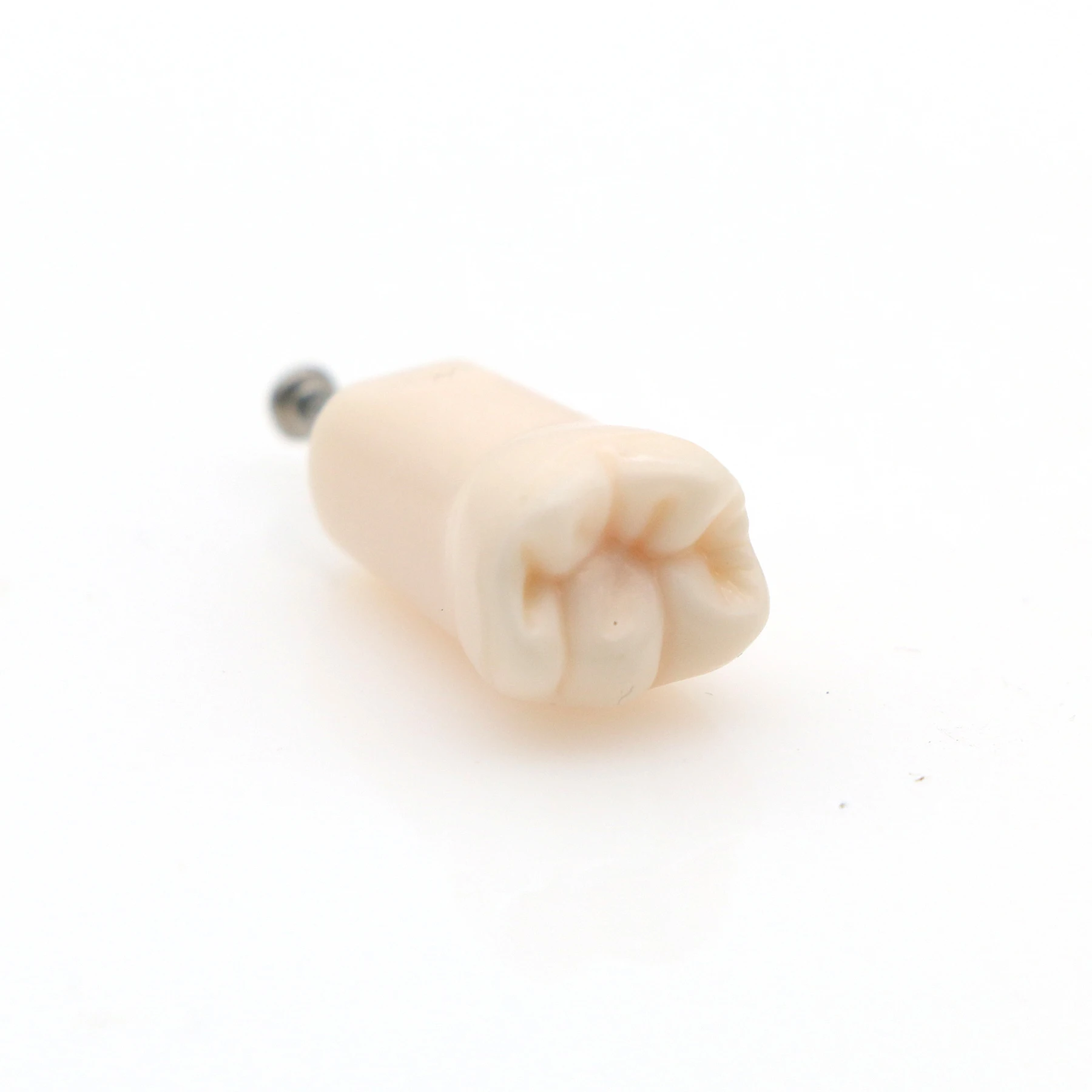 

10pcs LR6 46# Typodont Tooth Preparation Practice Model For Kilgore Nissin 200 32 Pcs Teeth M8025-46