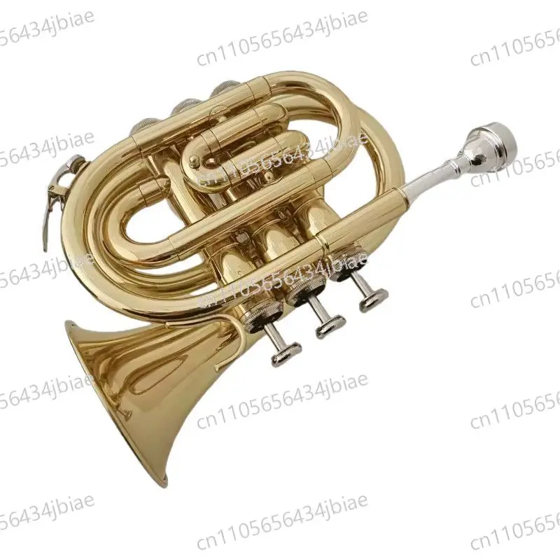 Trumpet instrument, professional palm number in B flat, gold button spirit play