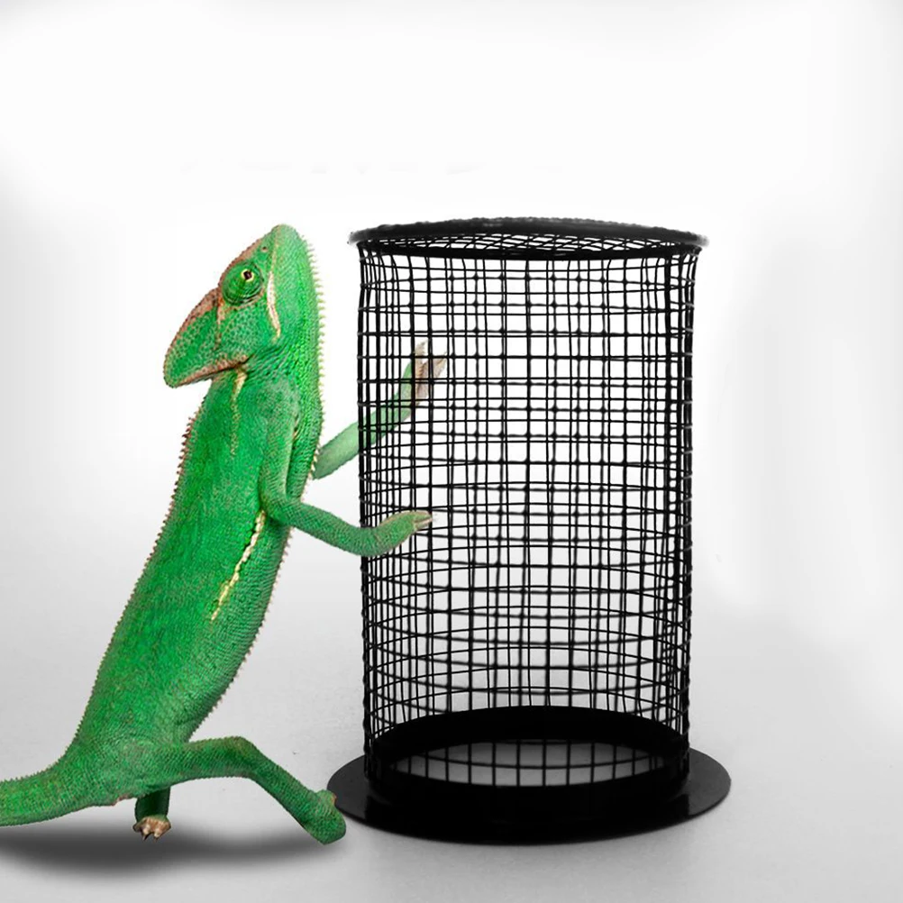 

Pet Lampshade Anti-Scald Lamp Cover Reptile Lampshade Reptile Lamp Cover Reptile Supplies