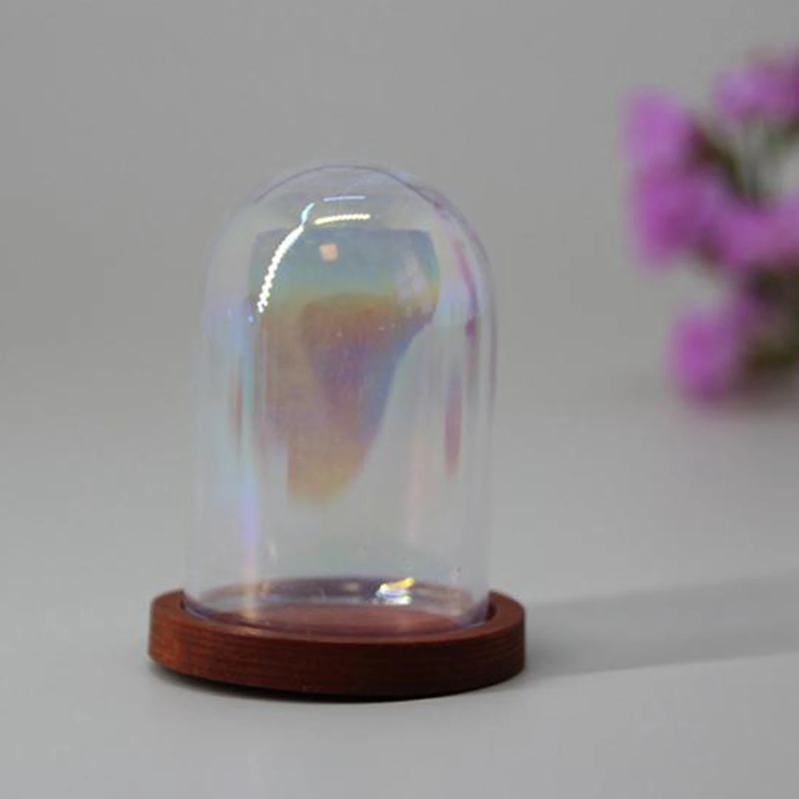4Pcs Mini Glass Cloche Dome, Container W/ Base Terrarium DIY Glass Display Domes for Decoration Tabletop Garden Wedding Office