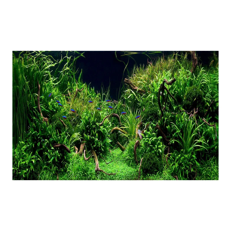 Forest Sticker Aquarium Background Ornament Poster Forest Aquarium Landscape Self Adhesive Fish Tank Backing Paper