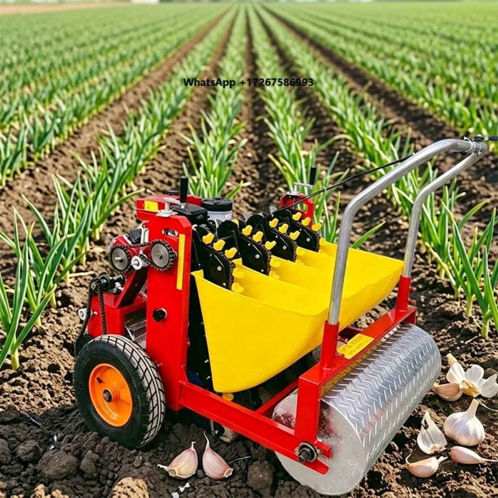 4 Row Garlic Planter Walk Behind  Self Propelled Garlic Seeder High Efficiency Garlic Planting Machine