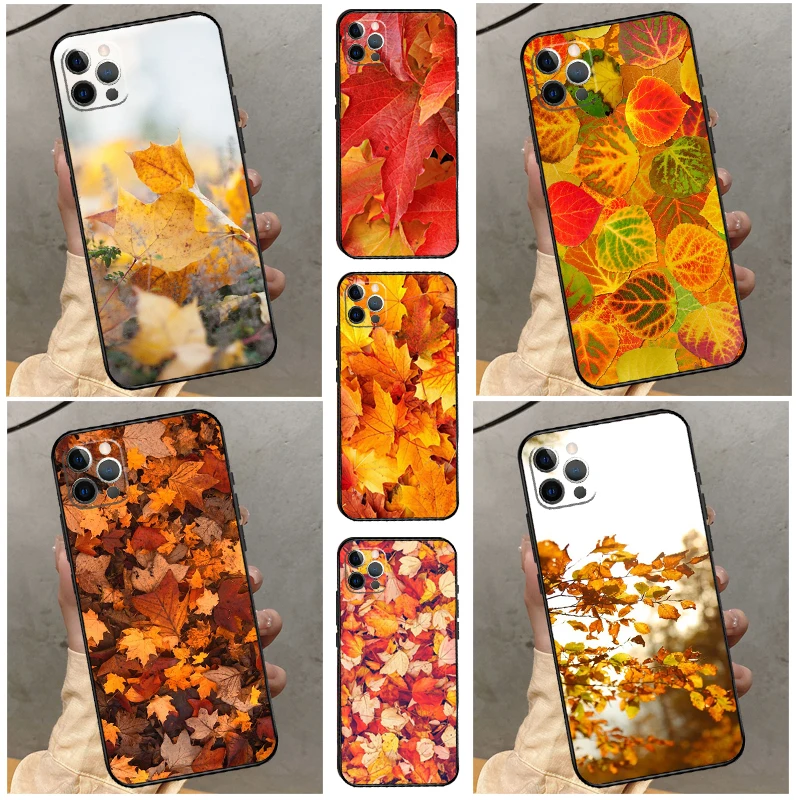 Autumn Leaves Back … - image