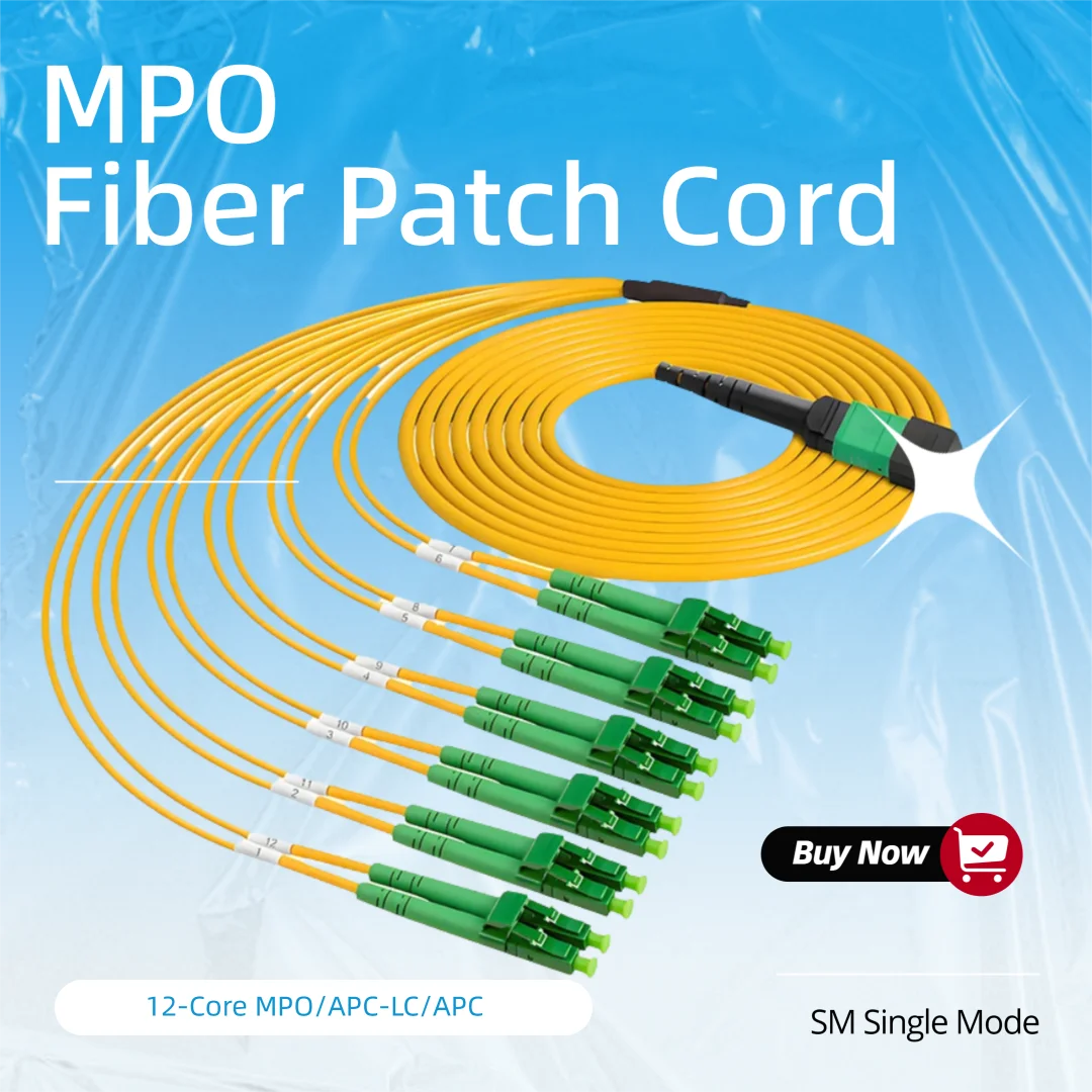 8 Core/12 Core Mpo/…