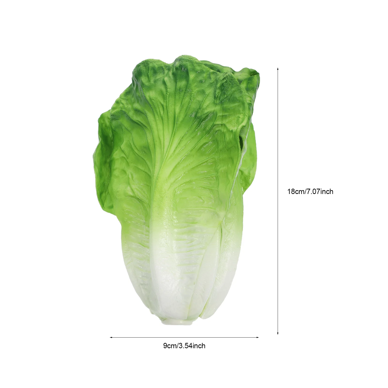 Lettuce Display Props Simulation Vegetable Faux Plants Artificial Showcase Decoration Greenery