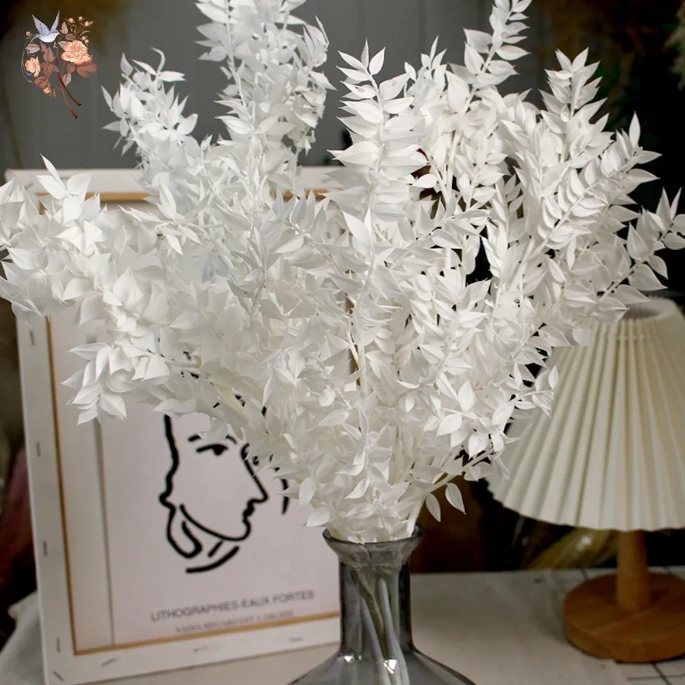 Feuilles de Ruscus blanches, fleurs séchées, décor de mariage de noël, feuilles d'eucalyptus conservées, Vases de Table nordiques pour la maison, arrangements de bricolage, 40g